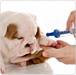 Sani Vet Care - clinica veterinara